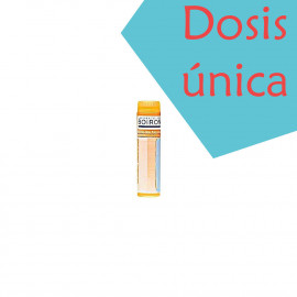 NUX VOMICA 15 CH (15CH)...