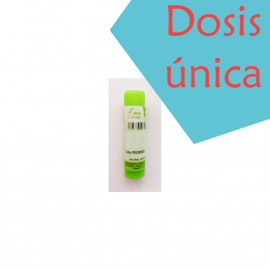 THUYA OCCIDENTALIS 1.000 K...