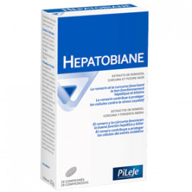 HEPATOBIANE 28 COMP PILEJE