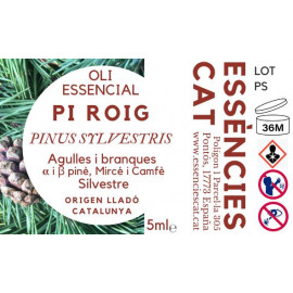 PINO ROJO - PINUS...