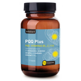 PQQ PLUS 30 CAP VITALART