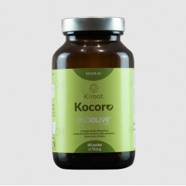 KOCORO 60 CAP KIROOT