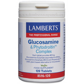 GLUCOSAMINA CONDROITINA 120...