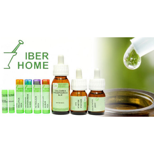 ALOE VERA  12 LM (12LM)...