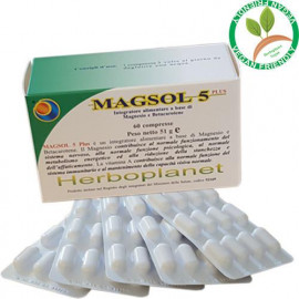 MAGSOL 5 EXTRA 60 COMP...