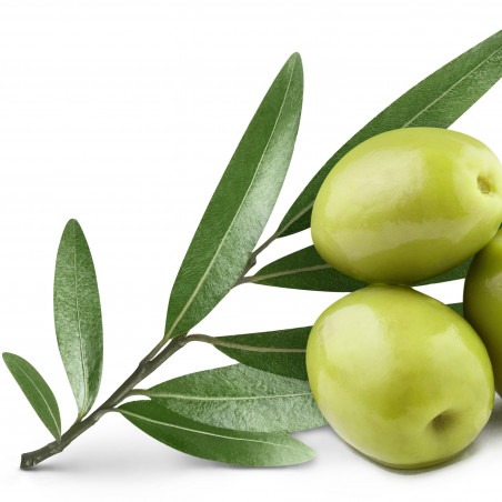 Complementos naturales con olivera