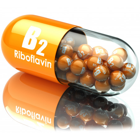 Vitamina b2 / riboflavina