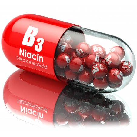 Vitamina b3 / niacina / acido nicotinico