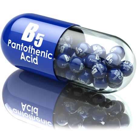 Vitamina b5 / acido pantotenico