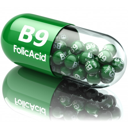 Vitamina b9 / acido folico